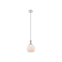 Satin Nickel / Matte White
