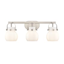 Satin Nickel / Matte White