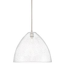 Satin Nickel / Seedy