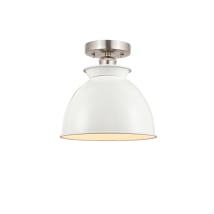 Brushed Satin Nickel / Glossy White