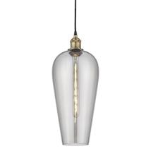 Black Antique Brass / Light Smoke