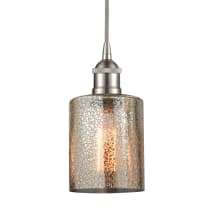 Brushed Satin Nickel / Mercury