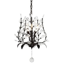 Oil Rubbed Bronze / Clear