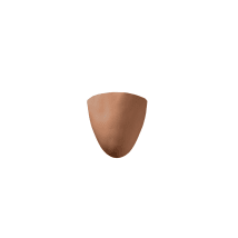 Adobe