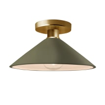 Polished Brass