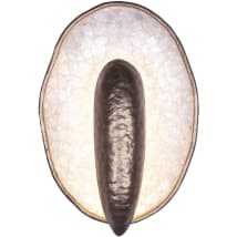 Pearlized Antique Brass