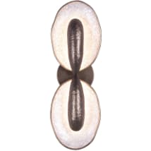 Pearlized Antique Brass