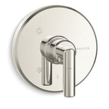 Polished Nickel