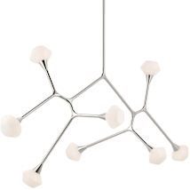 Polished Nickel