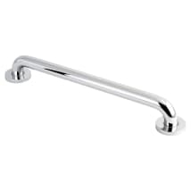 Polished Chrome