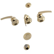 Polished Brass