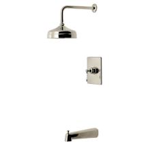Polished Nickel