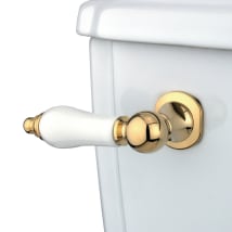 Polished Brass