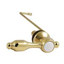 Polished Brass