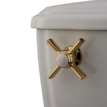 Polished Brass