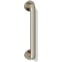Vibrant Brushed Nickel