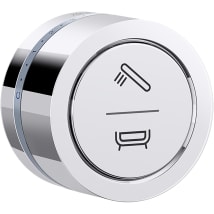 Polished Chrome