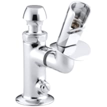 Polished Chrome