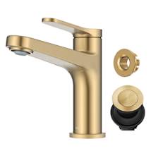 Spot Free Brushed Brass