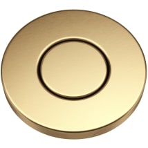 Brushed Brass