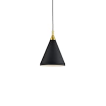 Black / Gold