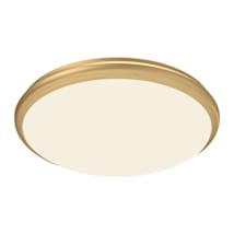 Brushed Gold