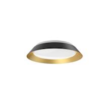 Black / Gold