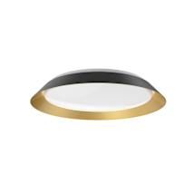 Black / Gold