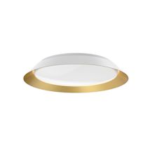 White / Gold