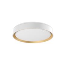 White / Gold