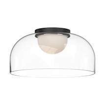 Black / Clear Glass