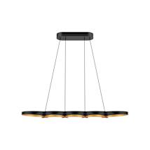 Black / Gold