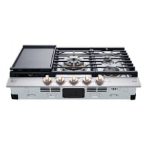 Stainless Steel
