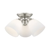 Brushed Nickel