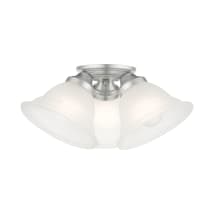 Painted Satin Nickel
