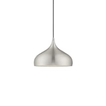 Brushed Aluminum