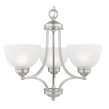 Brushed Nickel