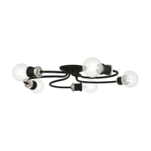 Black / Brushed Nickel Accents