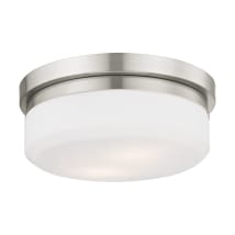 Brushed Nickel