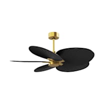 Brushed Brass / Matte Black