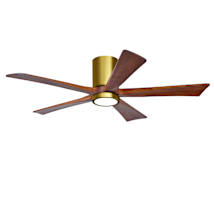 Brushed Brass / Walnut