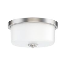 Satin Nickel