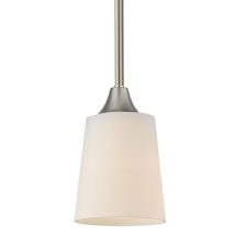 Satin Nickel / Satin White