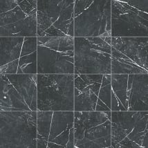 Marquina