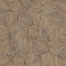 Terra