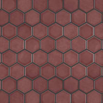 Glossy Rusty Red