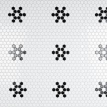 White Snowflake