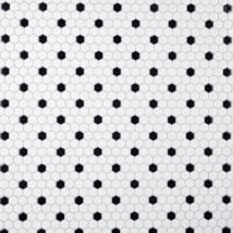 White / Black Dot