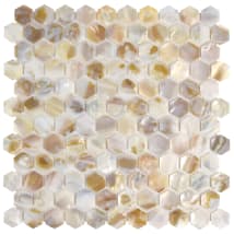 Natural Seashell