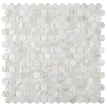 White Shell